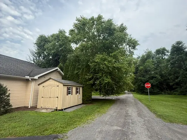 Getting ready to trim this tree