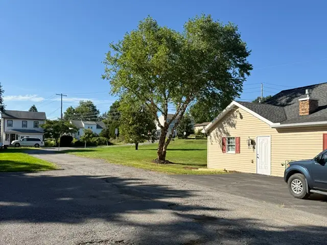 Freshly trimmed tree